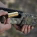 Патрон холодной пристрелки Sightmark Accudot калибр 12